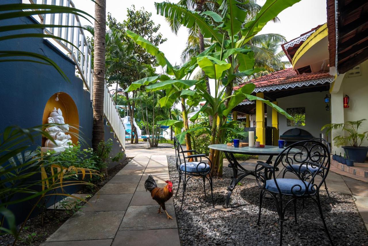 Sashas Village 4*