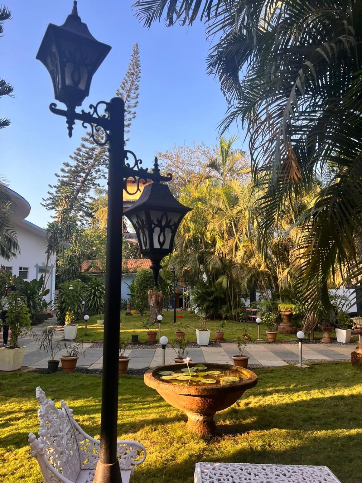 Sashas Village